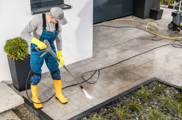 Best Roof Pressure Washing  in Grant, AL